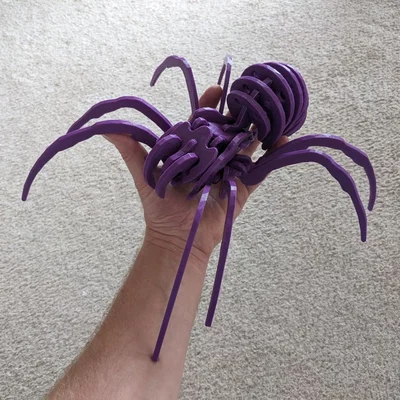 Spider Kit - Large - Separated