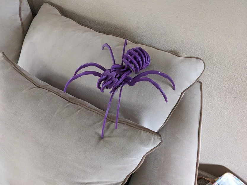 Spider Kit - Large - Separated - Image 2