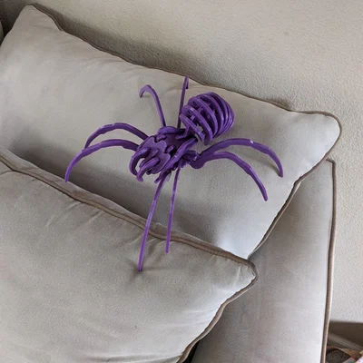 Spider Kit - Large - Separated
