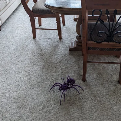 Spider Kit - Large - Separated