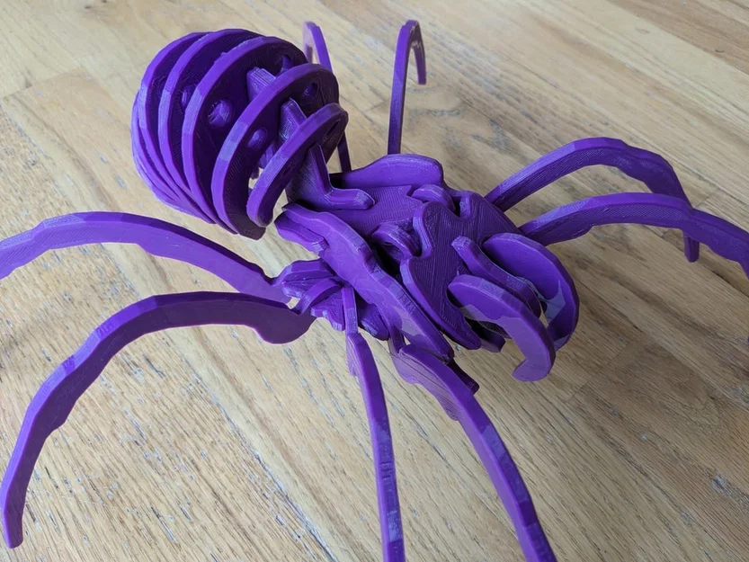 Spider Kit - Large - Separated - Image 5