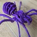 Spider Kit - Large - Separated - Thumbnail 5
