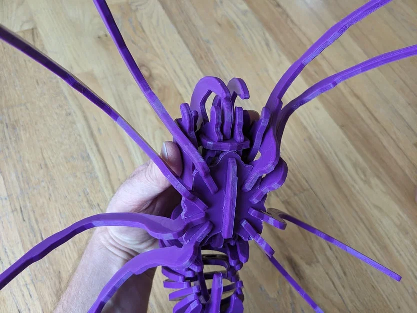 Spider Kit - Large - Separated - Image 6