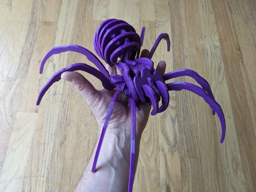 Spider Kit - Large - Separated - Image 7