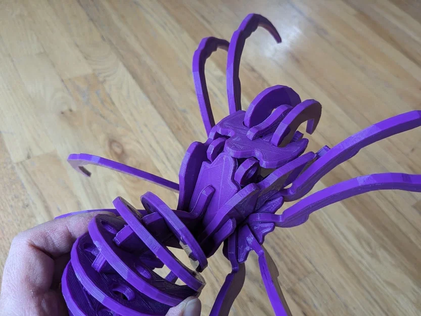 Spider Kit - Large - Separated - Image 8