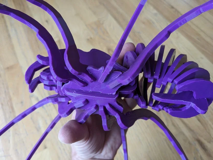 Spider Kit - Large - Separated - Image 9