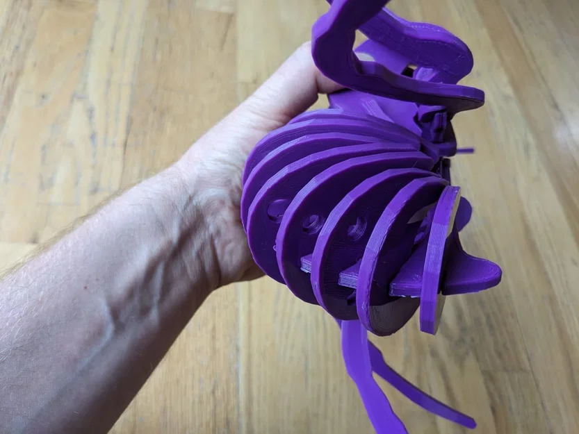 Spider Kit - Large - Separated - Image 12