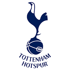 Móc khóa Tottenham Hotspur FC (in 3D) - Image 2
