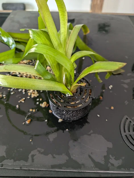 Chậu trồng cây thủy sinh Aquarium RootGuard Planter Pot (No support) - Image 4
