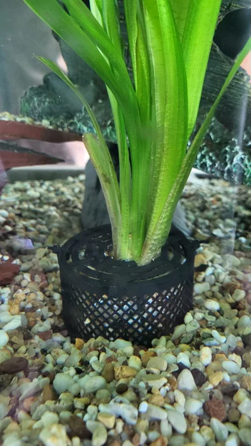 Chậu trồng cây thủy sinh Aquarium RootGuard Planter Pot (No support) - Image 5