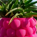 Bình hoa Bubbly Vase thiết kế 3D độc đáo trang trí không gian sống - Thumbnail 5