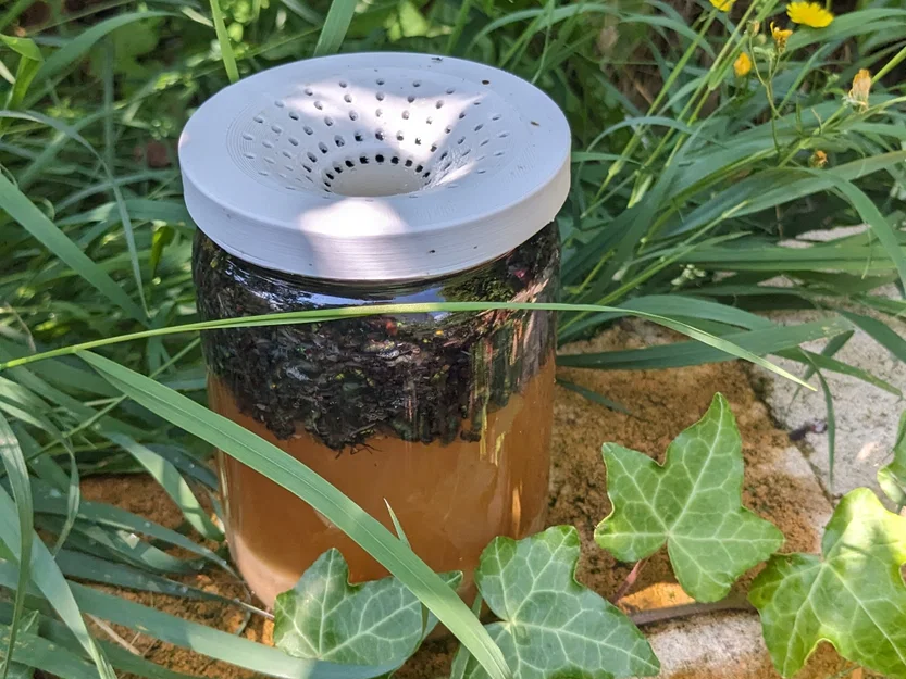 Bẫy ruồi nhà (House fly trap) vặn lên hũ 77.5 mm - Image 1