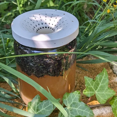 Bẫy ruồi nhà (House fly trap) vặn lên hũ 77.5 mm