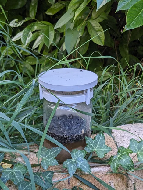 Bẫy ruồi nhà (House fly trap) vặn lên hũ 77.5 mm - Image 2