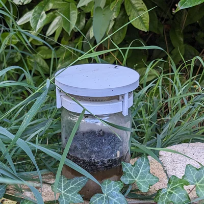 Bẫy ruồi nhà (House fly trap) vặn lên hũ 77.5 mm