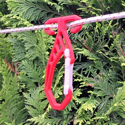 Móc Dây Carabiner (Carabiner Rope Hook)