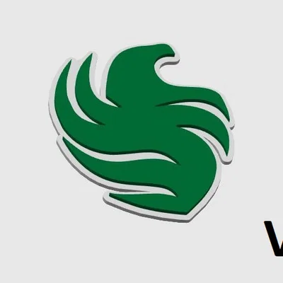 Logo Falcons (CS2)
