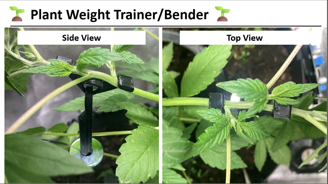 Low Stress Plant Trainer – Dụng cụ uốn/cố định cây bằng dây hoặc tạ - Image 3