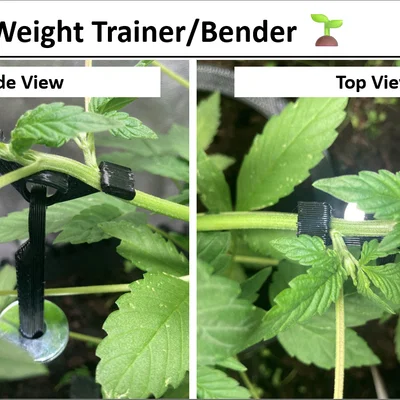 Low Stress Plant Trainer – Dụng cụ uốn/cố định cây bằng dây hoặc tạ