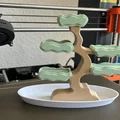 Khay Cây Bonsai Đựng Trang Sức (Bonsai Jewelry Organizer) - Thumbnail 4
