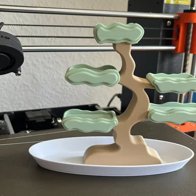 Khay Cây Bonsai Đựng Trang Sức (Bonsai Jewelry Organizer)