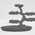 Khay Cây Bonsai Đựng Trang Sức (Bonsai Jewelry Organizer) - Thumbnail 6