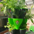 Hydroponic Style Tower Indoor – Tháp thủy canh để bàn trong nhà - Thumbnail 15