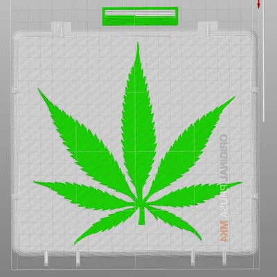 Hộp Rugged Đựng Weed (Rugged Weed Box)