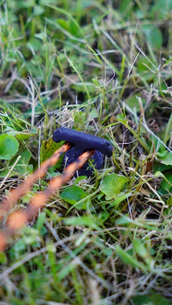 Peg cắm lều (đa năng và bền bỉ) - Image 5