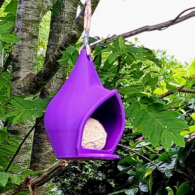 Máng Treo Thức Ăn Cho Chim (Bird Feeder) – Dùng 1 Viên Fat Ball