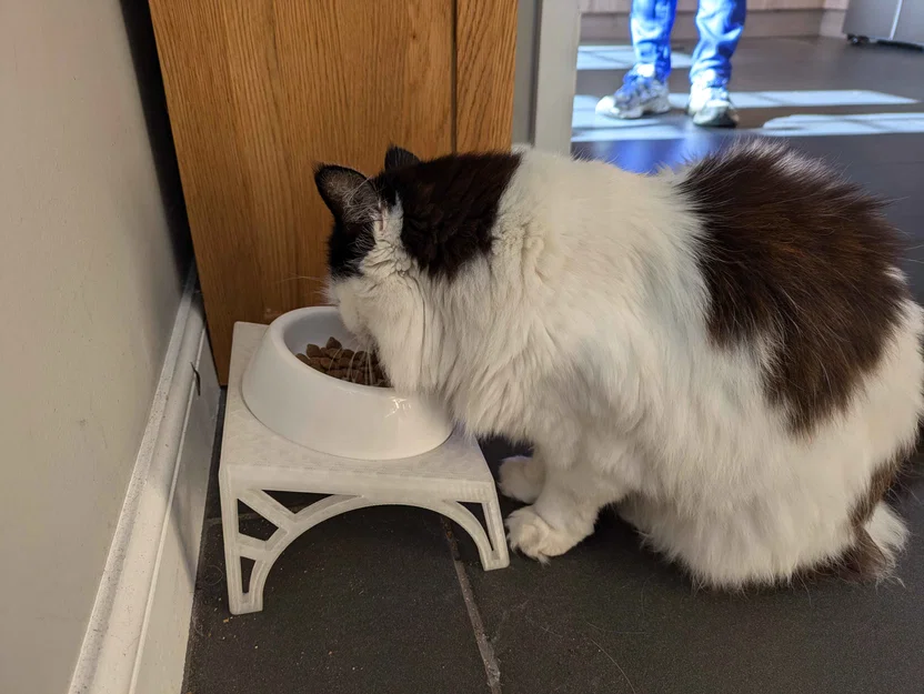 Bệ nâng tô thức ăn cho mèo (Cat food bowl riser) - Image 1