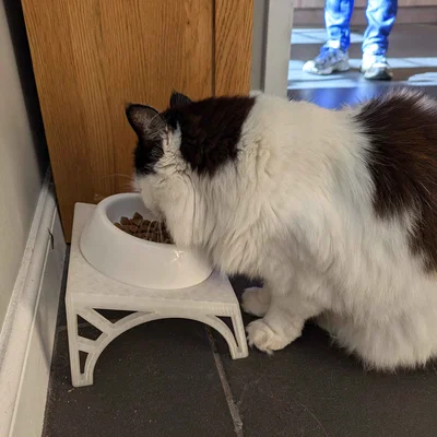 Bệ nâng tô thức ăn cho mèo (Cat food bowl riser)