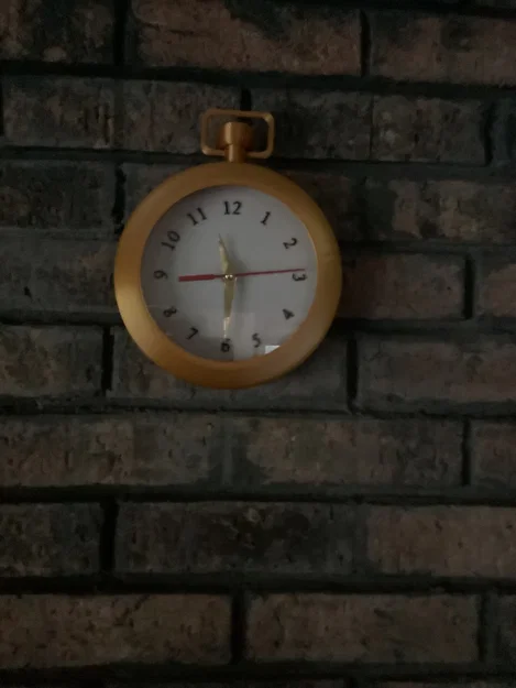 Đồng hồ bỏ túi khổng lồ (Giant Pocket Watch) - Image 2