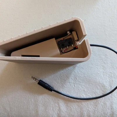 Bàn đạp chân và Bộ điều khiển (Foot Pedal and Controller)