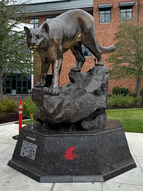 Tượng Cougar Pride (bản quét 3D) - Image 3