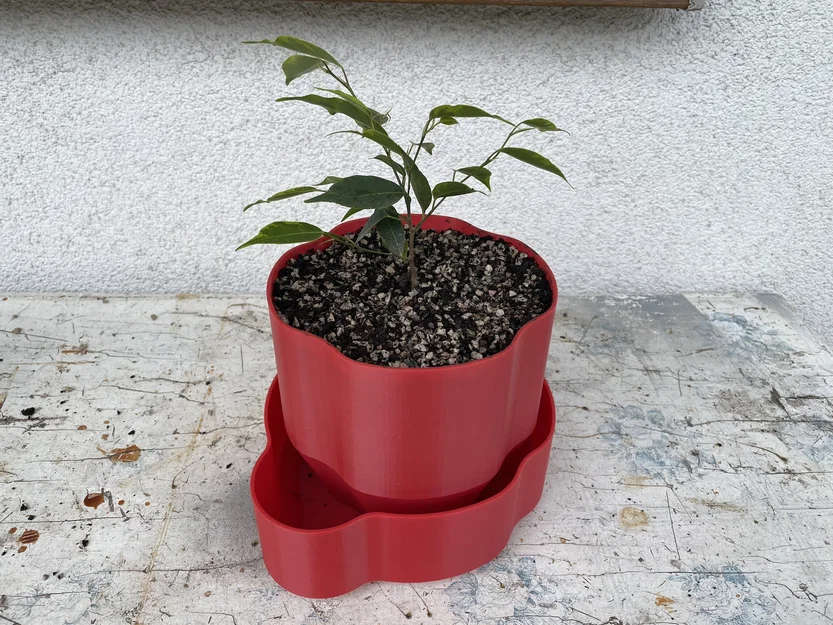 Chậu Cây Cảnh 3D (Planter) - Thiết Kế Đẹp, Dễ In, Không Cần Support - Image 1