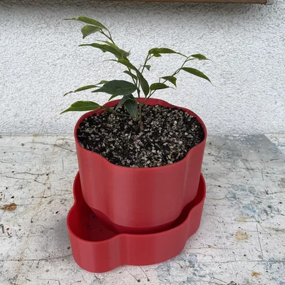 Chậu Cây Cảnh 3D (Planter) - Thiết Kế Đẹp, Dễ In, Không Cần Support