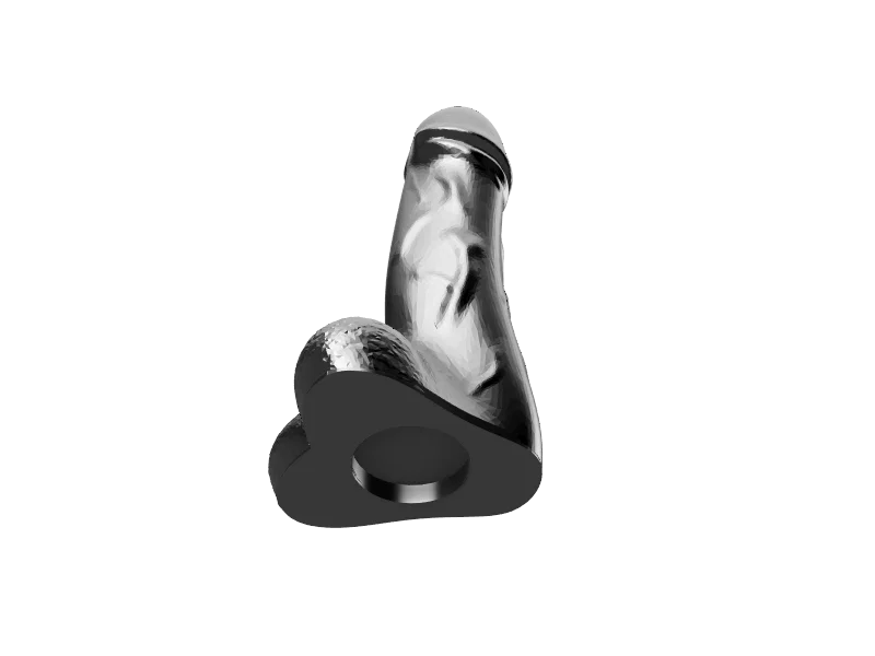 Nam châm hình dương vật (Penis magnet) - Image 1