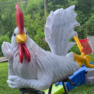 Gà Trống Sexy (Sexy Rooster)