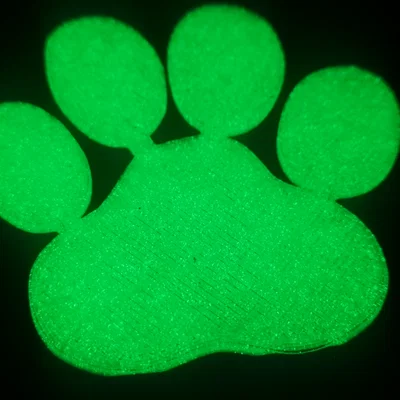 Mô hình dấu chân chó in 3D phát sáng trong đêm độc đáo