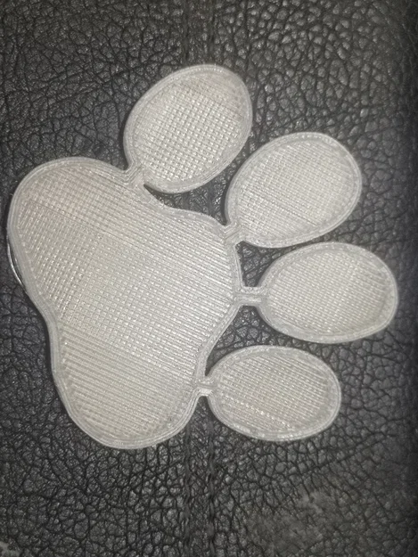 Mô hình dấu chân chó in 3D phát sáng trong đêm độc đáo - Image 2