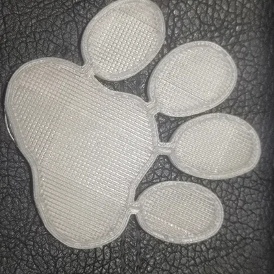 Mô hình dấu chân chó in 3D phát sáng trong đêm độc đáo