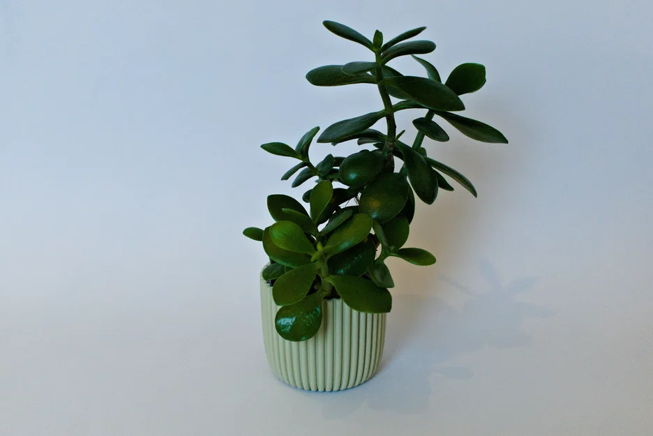 Chậu cây 3D Planter Blumentopf 9cm - Thiết kế hiện đại, tối giản - Image 1