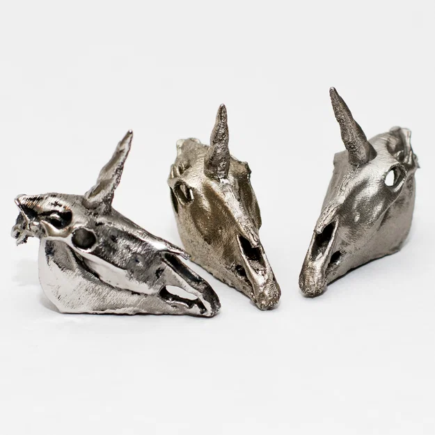 Sọ Kỳ Lân (Unicorn Skull) realistic - Image 2