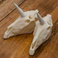Sọ Kỳ Lân (Unicorn Skull) realistic - Thumbnail 3