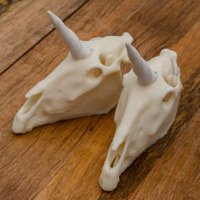 Sọ Kỳ Lân (Unicorn Skull) realistic