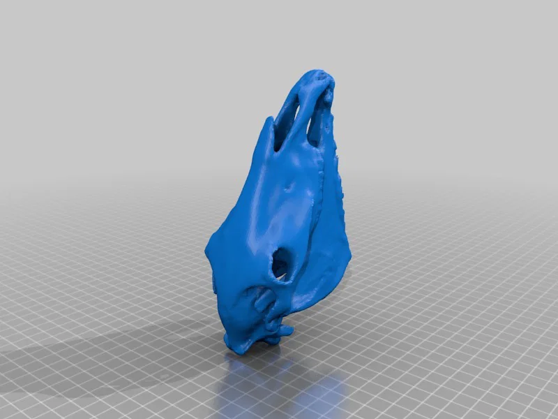 Sọ Kỳ Lân (Unicorn Skull) realistic - Image 4