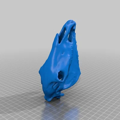 Sọ Kỳ Lân (Unicorn Skull) realistic