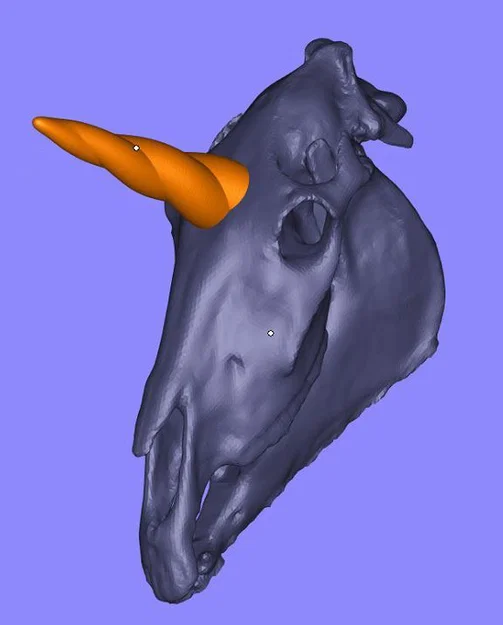 Sọ Kỳ Lân (Unicorn Skull) realistic - Image 6
