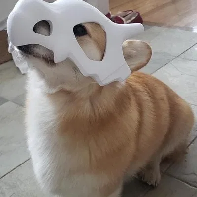 Mặt nạ thú cưng Cubone siêu dễ thương!